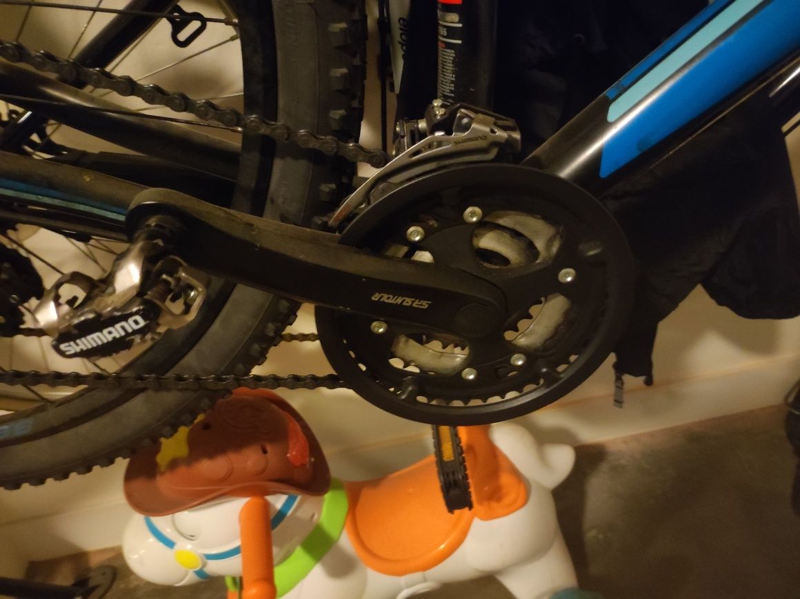 Bicicleta Berg L