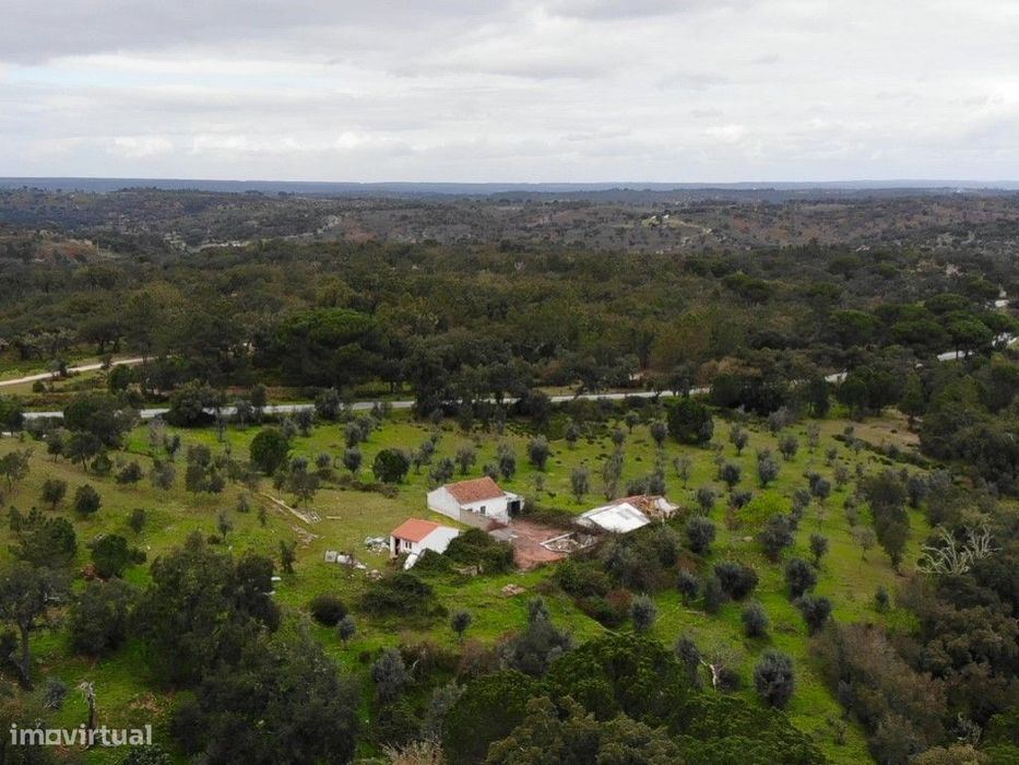 Quinta Com 5Ha De Terreno Com 500M2 Urbano - Galveias - Ponte De Sor