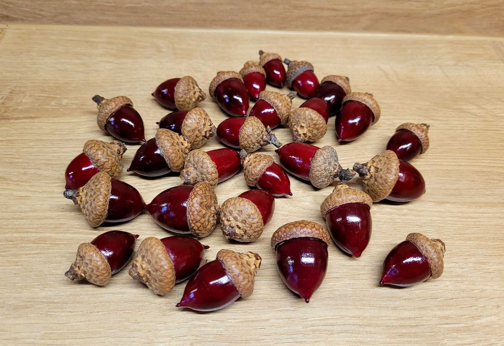 orzechy żołędzie szyszki kasztany plus artykuły plastyczne