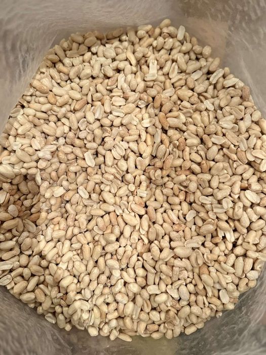 Арахіс сирий,жарений,бланширований,сольоний