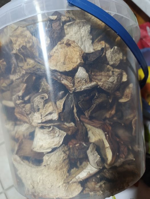 Продаю сушені гриби