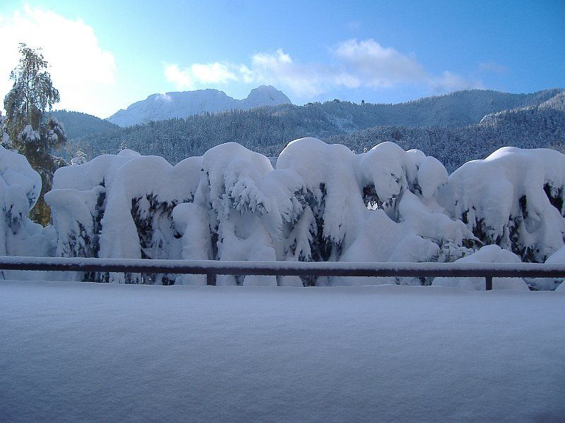 "Zakopane Willa"- apartamenty i tanie pokoje z widokiem na Giewont