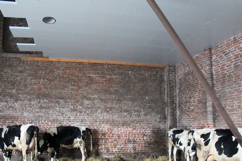 Płyty Izolacyjne Ocieplenie Obory Kurnika Podsufitka STYRODUR XPS AGRO