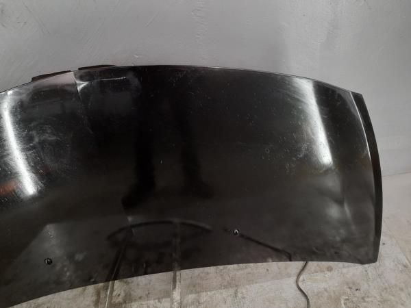 Capot RENAULT Clio III (BR0/1, CR0/1)