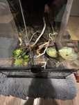 Terarium exoterra  z wyposazeniem