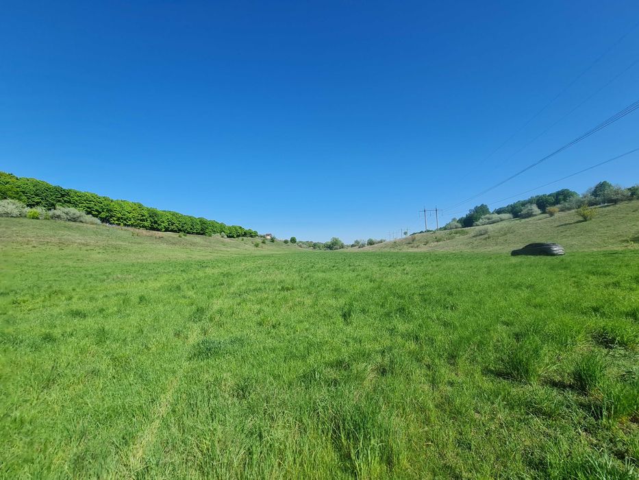 Продаж 14га землі, мальовнича Балка Хорватка, Кулибаба, 32км від Києва