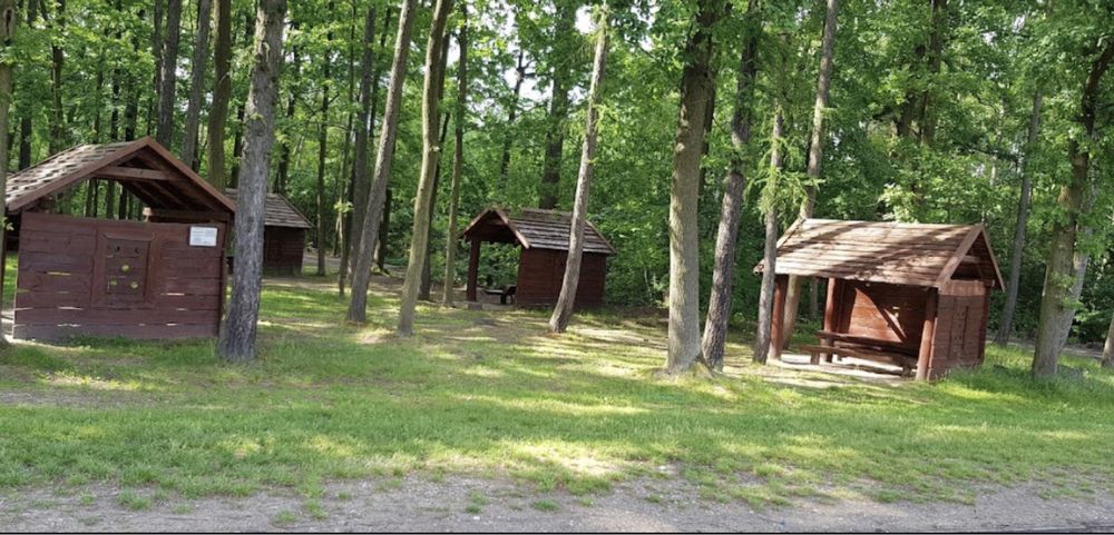 Działka 2000 m2 Głosków