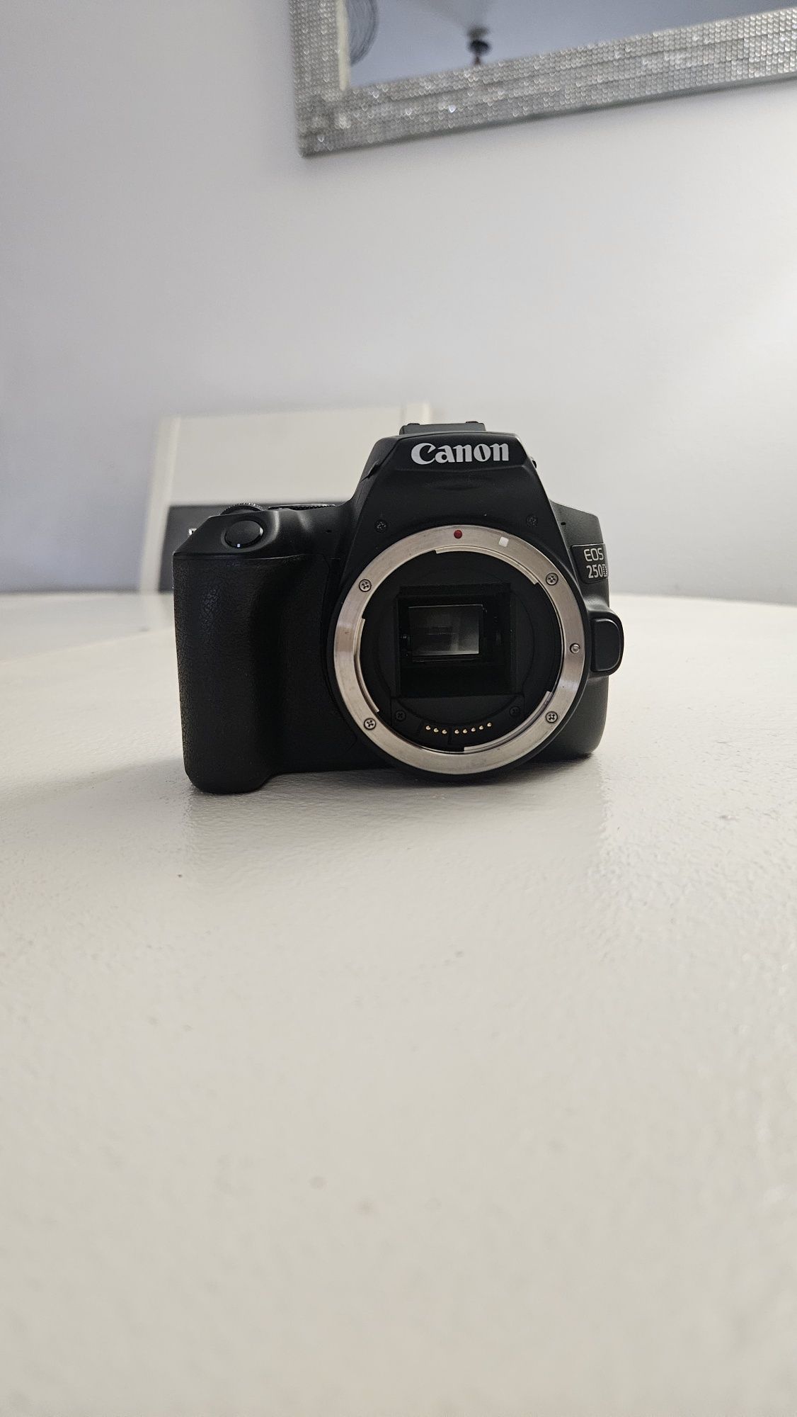 Canon 250D + Objetiva 50mm