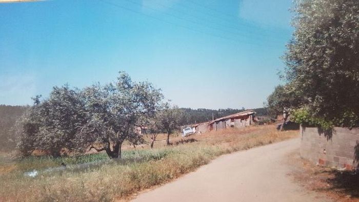 Land / Terreno para construção em Alvisquer