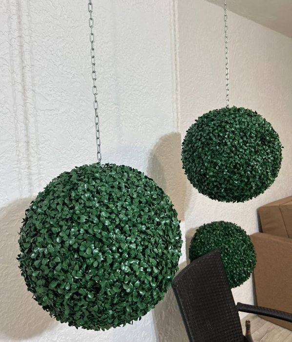 Самшит  декоративный, для офиса,дома