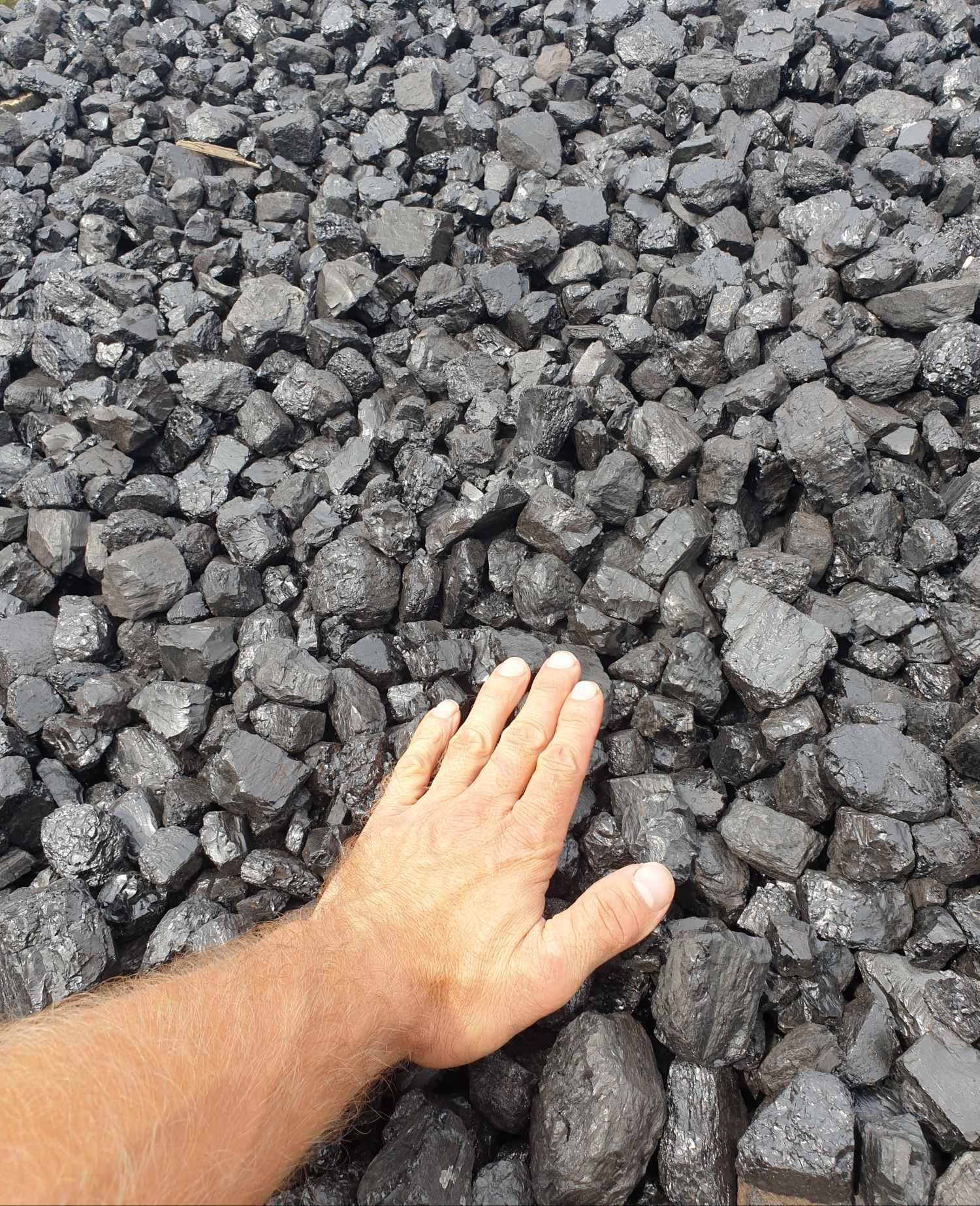 Węgiel orzech  26-25 kg Kazachstan LIDER Leszno Wlkp.