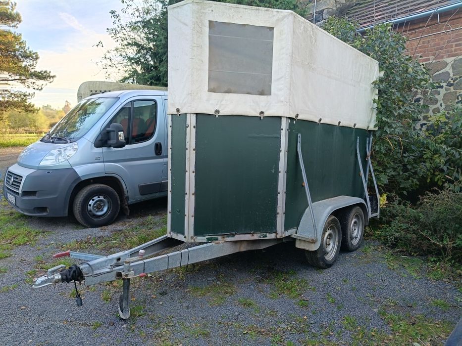 Przyczepa koniowóz, do przewozu koni, kat.B, DMC 1300 kg