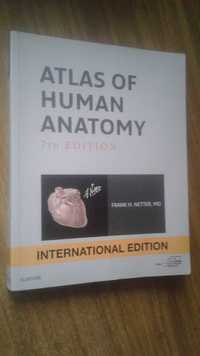 Атлас анатомии Netter 7е на английском Atlas of Human Anatomy