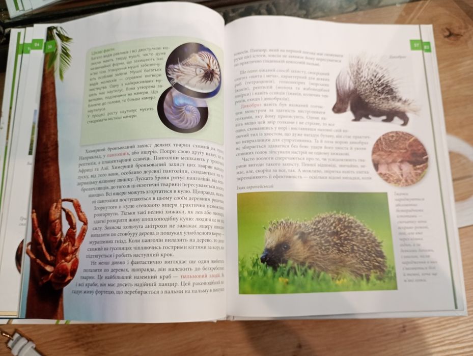 Енциклопедія Тварини - Винахідники та будівельники