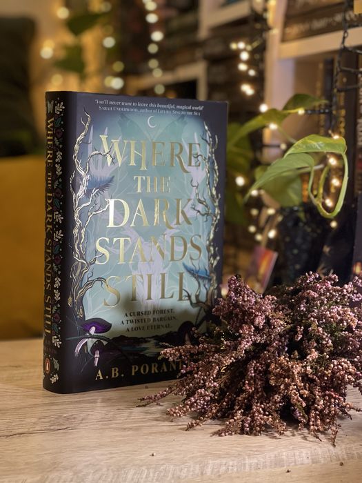 Книга англійською: Where the Dark Stands Still A. B. Poranek