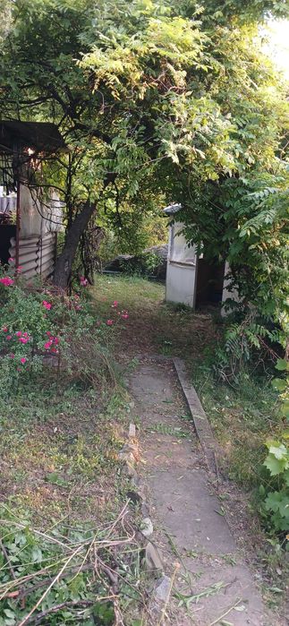 Продам Дачу в с.Червоний Садок