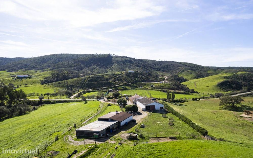 Quintinha no Alentejo com Grande área edificada