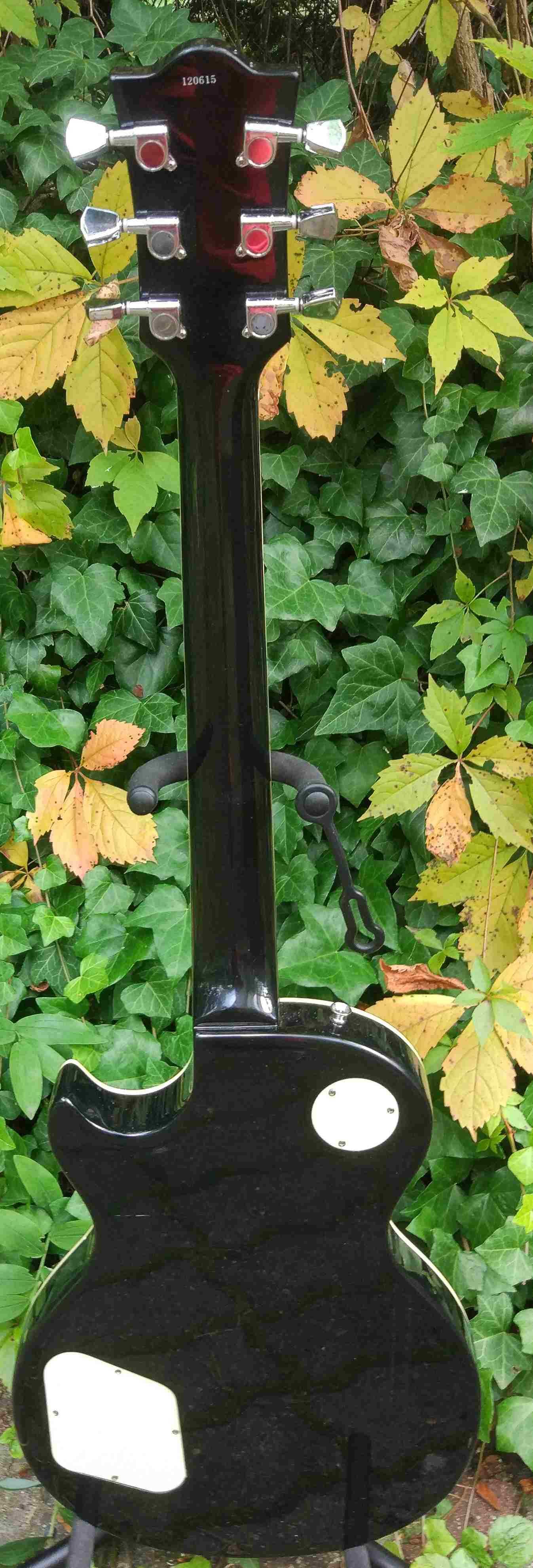 Gitara elektryczna Les Paul ECO