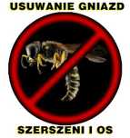 Szerszenie/osy usuwanie gniazd
