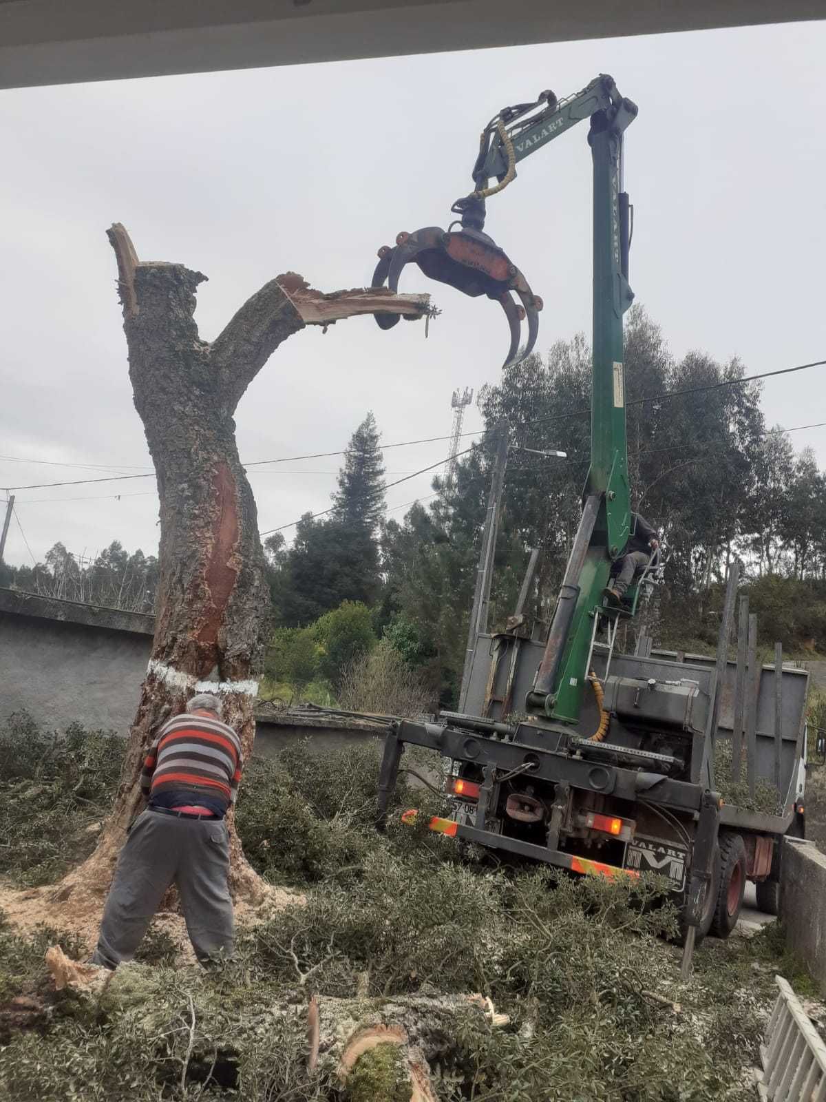 Remodelações, Jardinagem e Terraplanagem