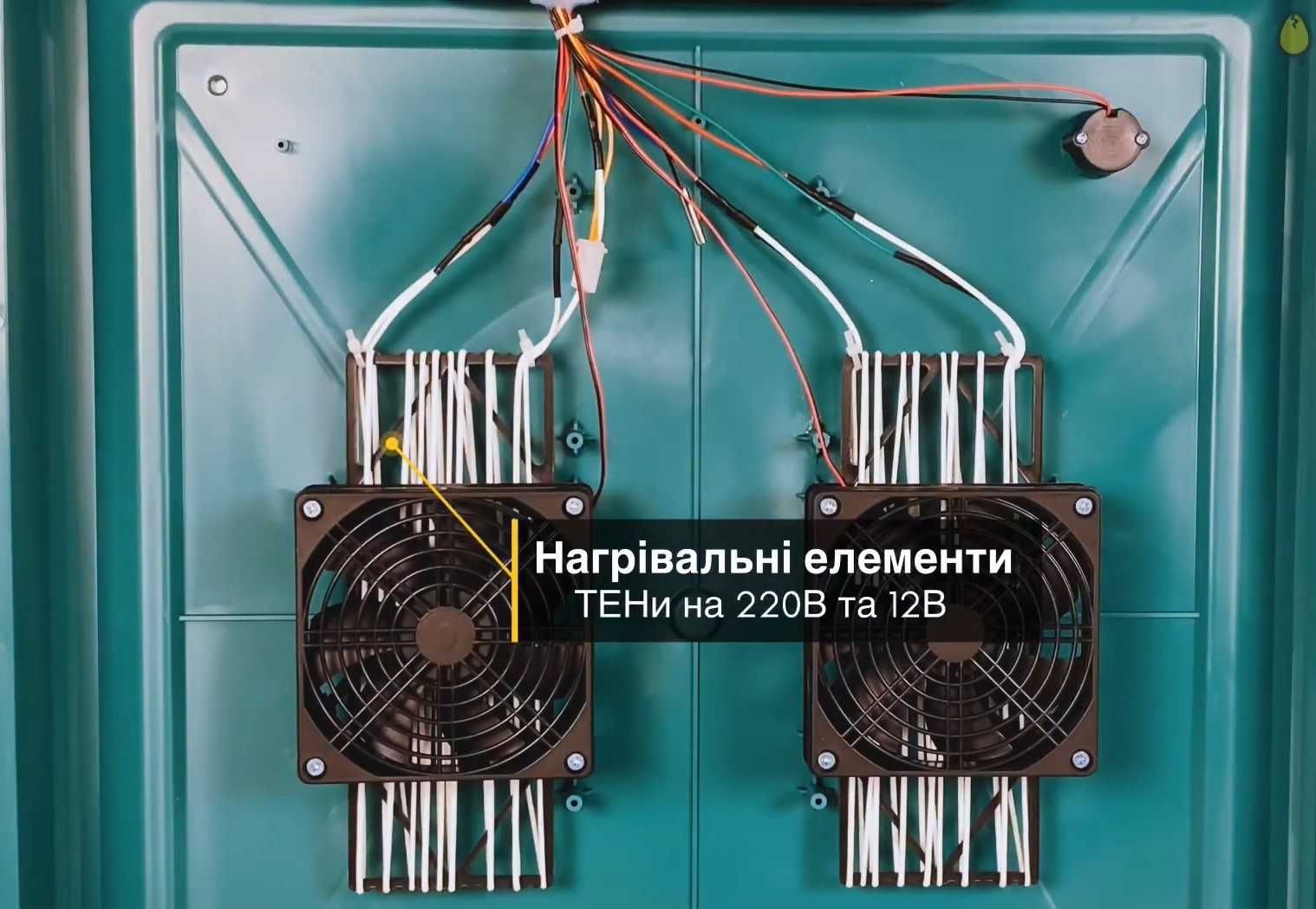 Распродажа ! Инкубатор автоматический 12/220В. Інкубатор Птаха 130 яиц