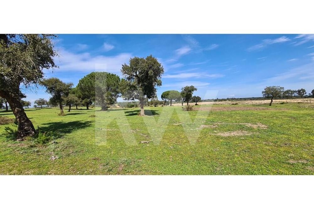 Herdade Com 190 Ha Em Benavente, Distrito De Santarém