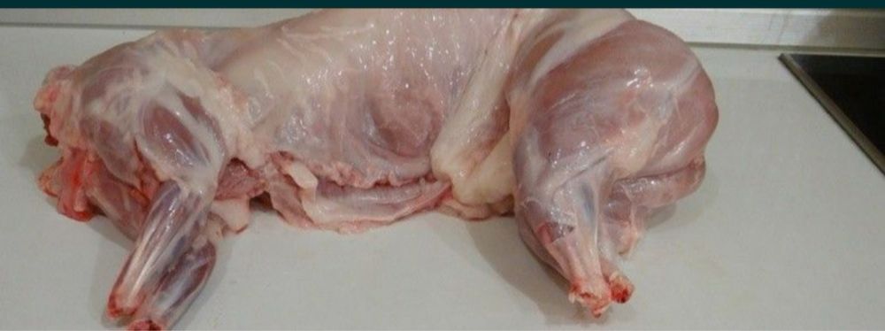 Продам свіже мясо кролика