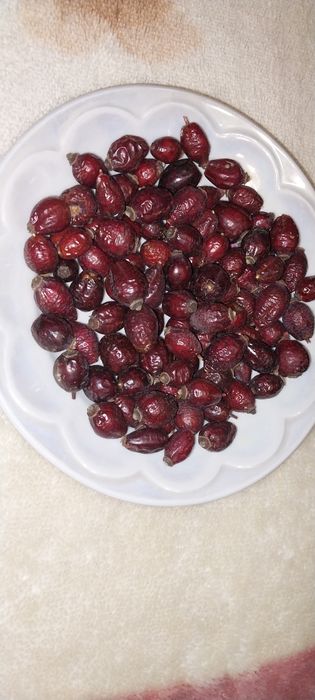 Шипшина сушена/ Шиповник