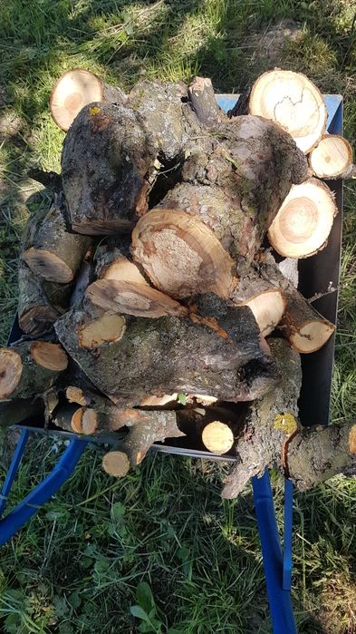 Drewno owocowe opałowe suche do wędzenia na grill ognisko jabłko trans
