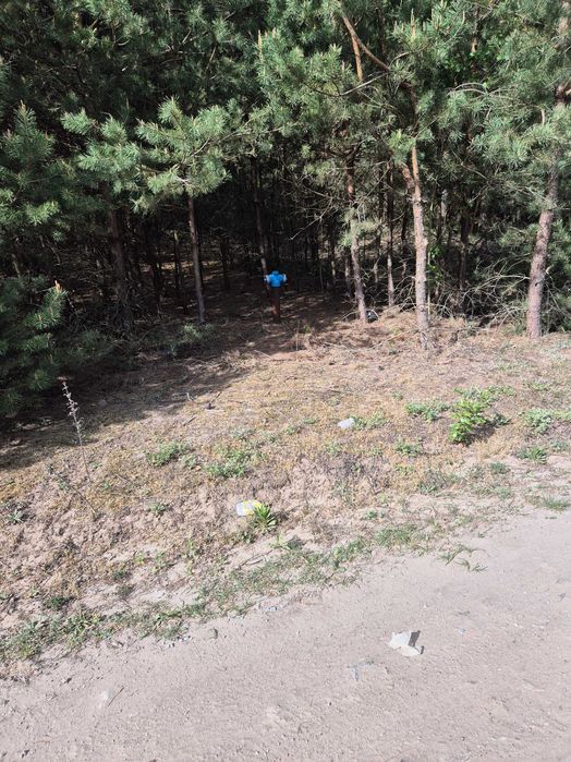 Działka nad rzeką w otoczeniu lasów