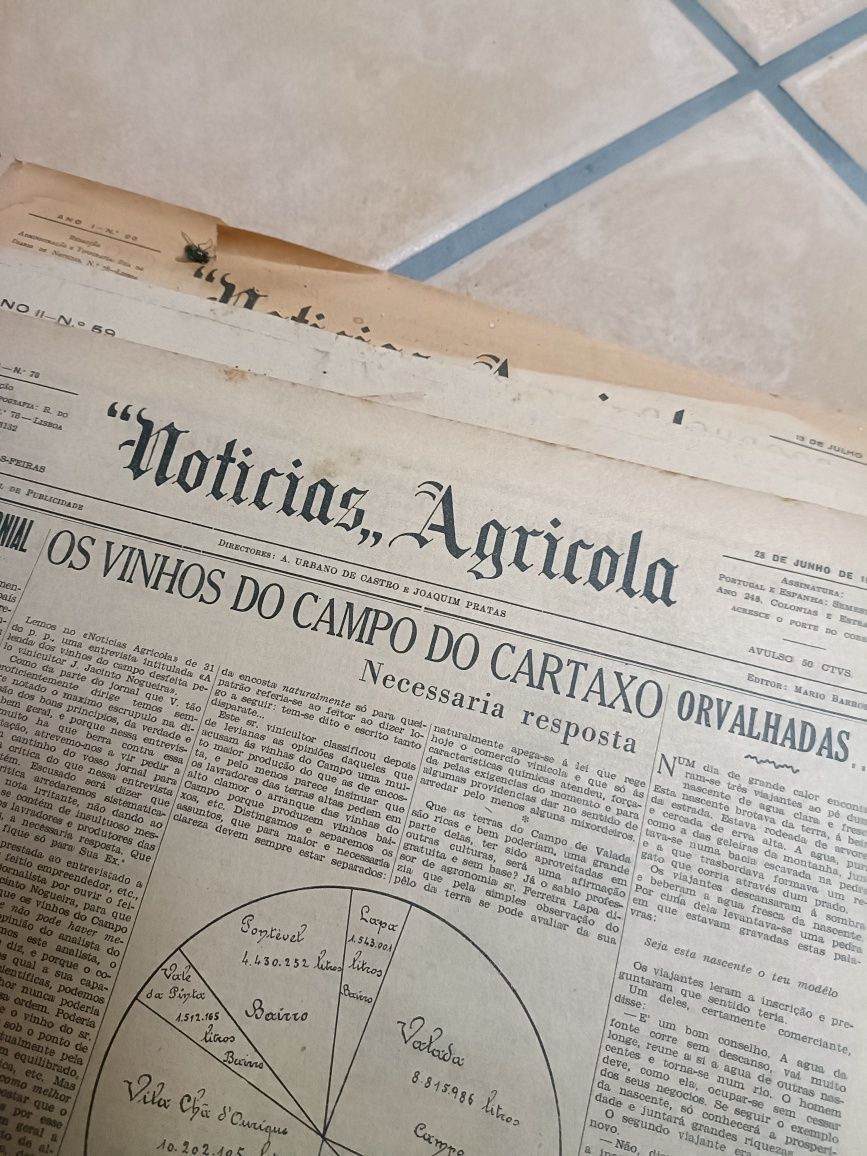 Monte de jornais antigos de 1914, estes monte todo