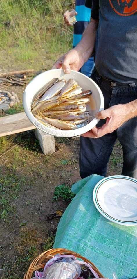 Agroturystyka "U Kazika" - jezioro Rospuda, Wólka k. Filipowa