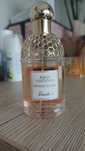 Guerlain Aqua allegoria Orange Soleia edt
