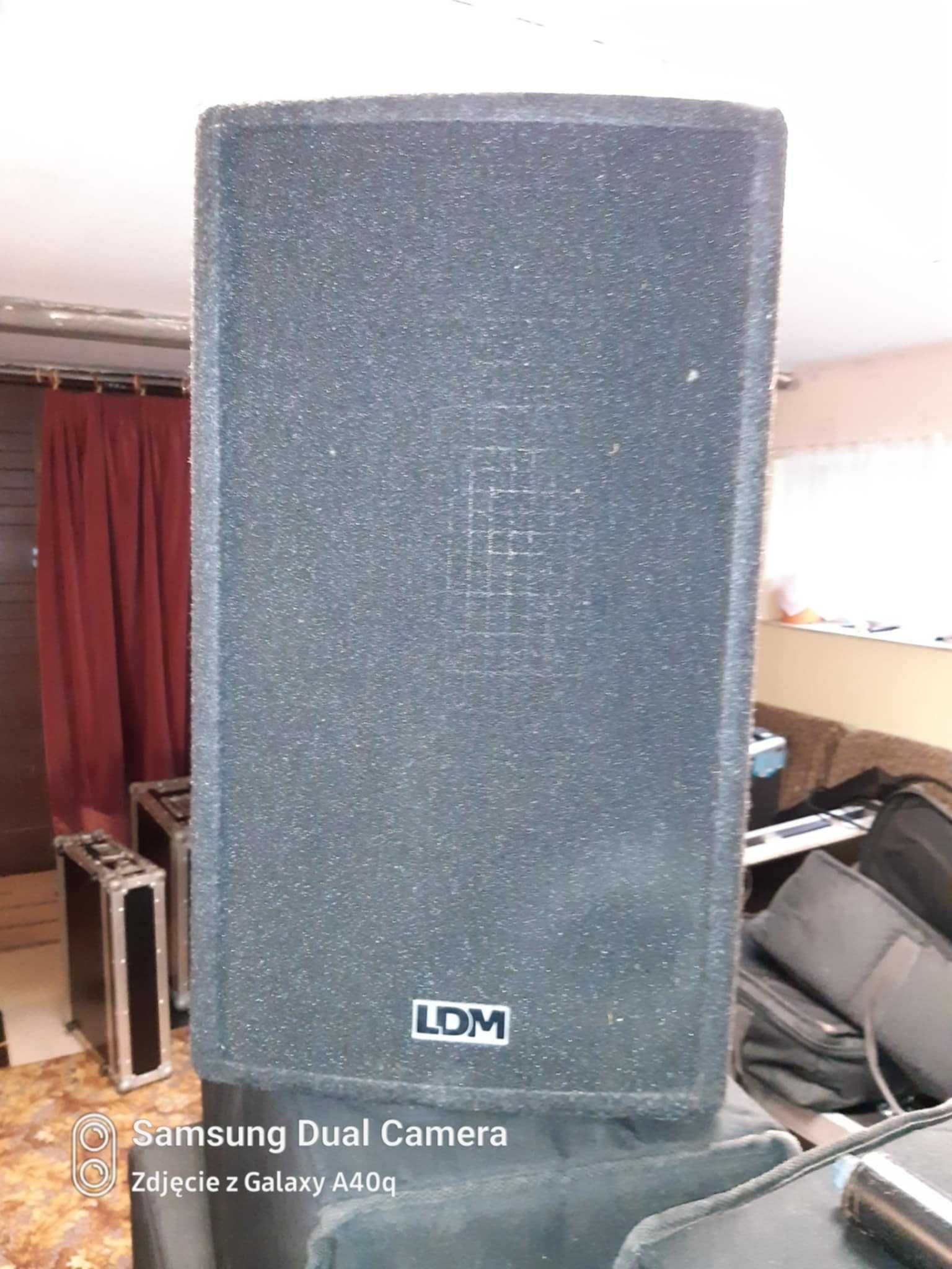Kolumny LDM PYP 312  pasywne  - 2szt.