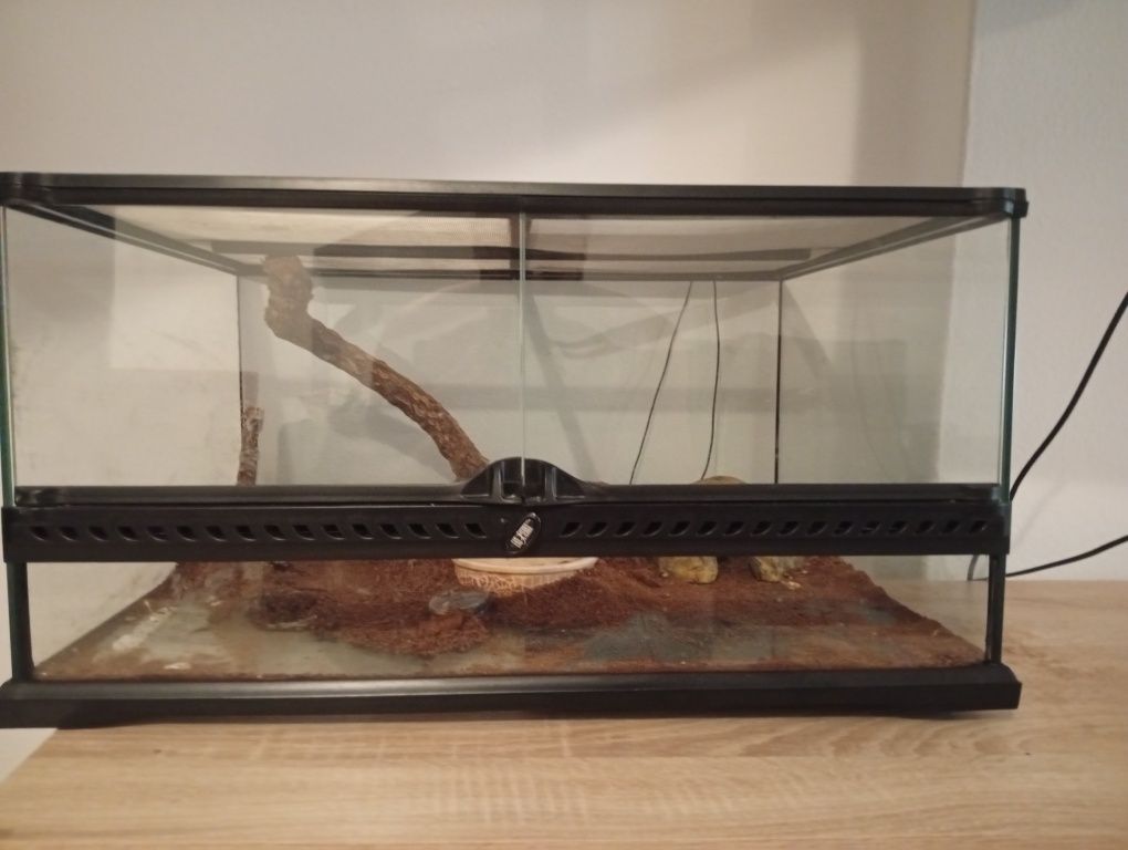Terrário com tapete de aquecimento