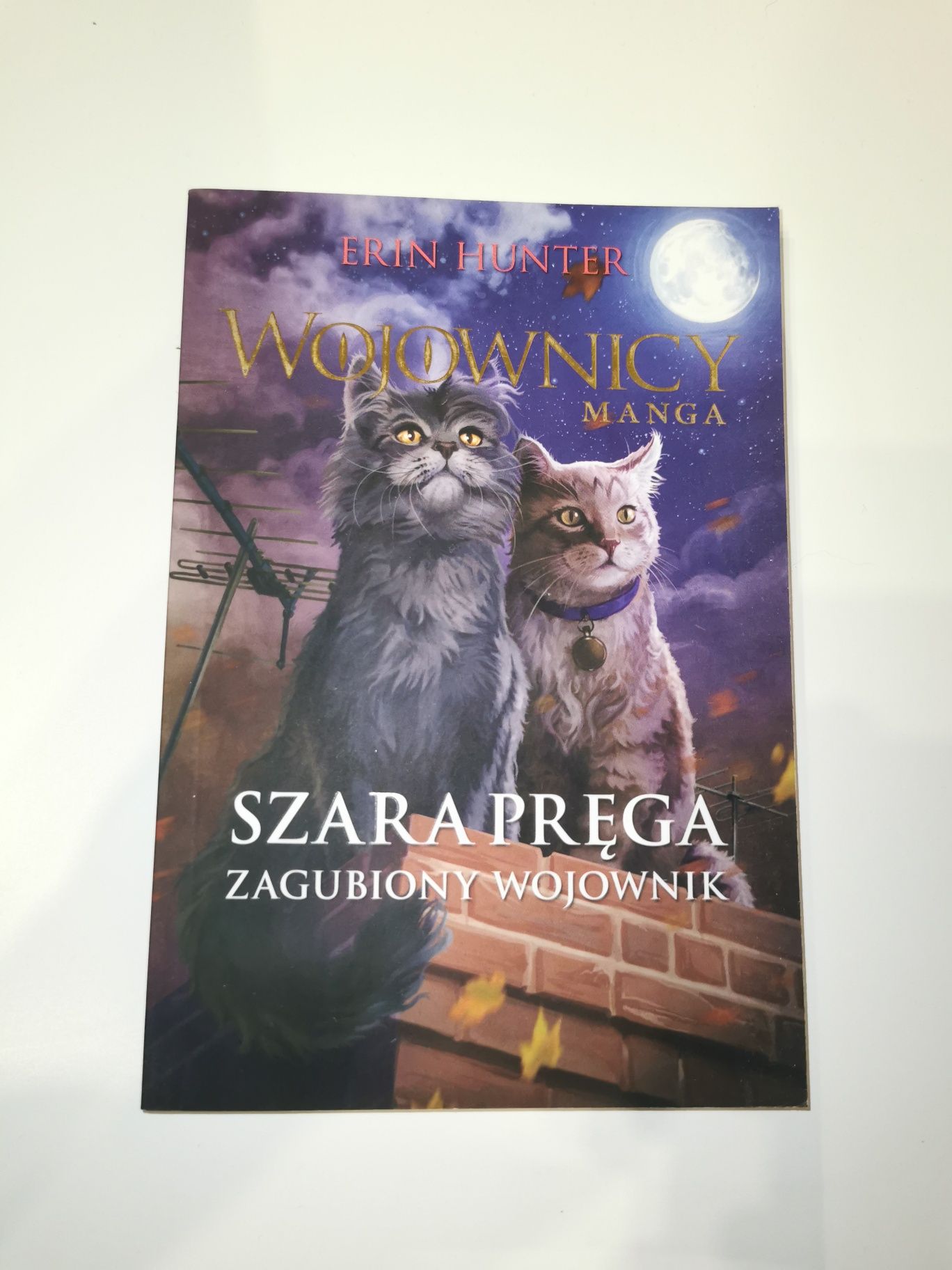 Wojownicy Szara pręga Zagubiony wojownik