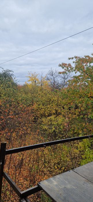 Будинок, ділянка