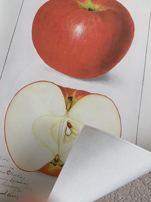 Gobelin na płótnie HD/Obrazek/Vintage Retro Fruit/Apple