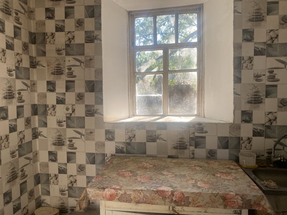 Будинок в Грушівці з великою ділянкою