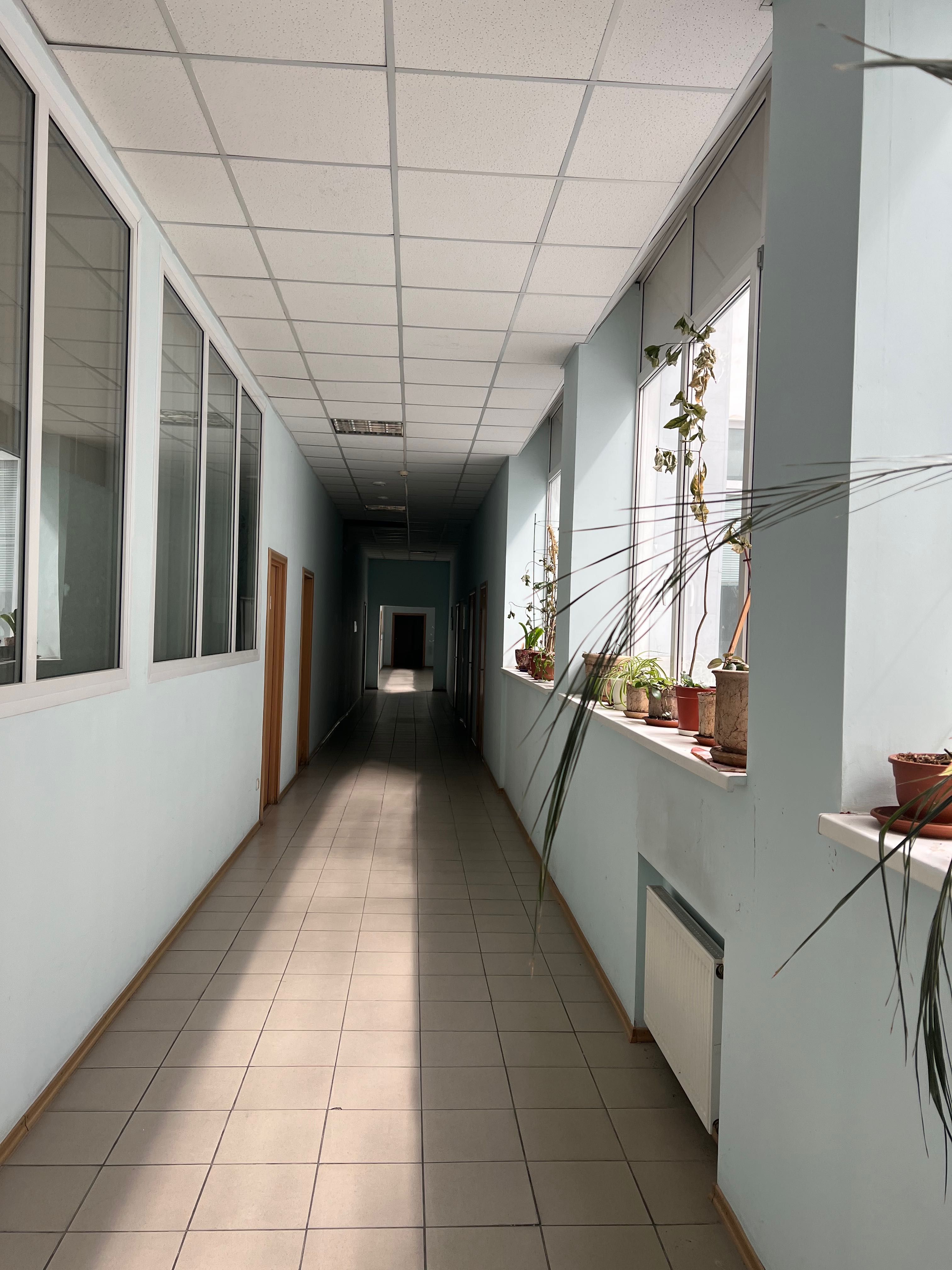 Офісні приміщення в оренду в БЦ Колізей, від 14 кв.м   БЕЗ КОМІСІЇ!