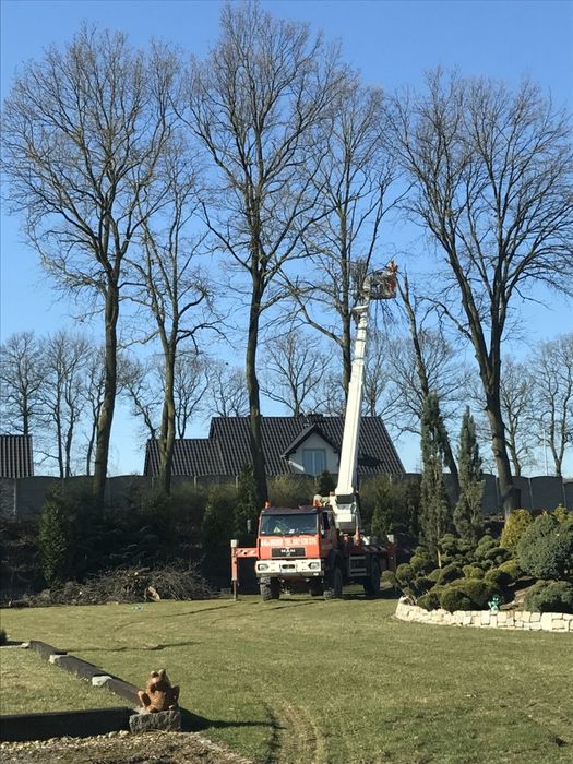 Podnośnik koszowy, dźwig do 50 Ton Bolesławiec,Lubań,Zgorzelec,Chojnów