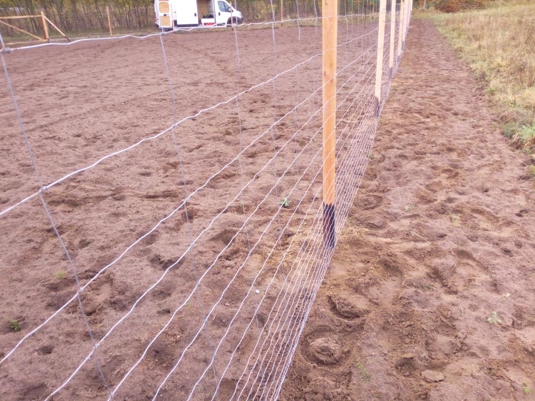 Ogrodzenie Budowlane Tymczasowe Olsztyn siatka leśna już 17 zl. za m