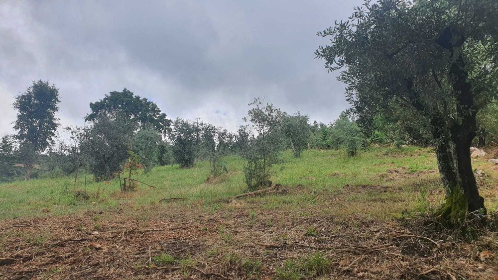 Terreno 1,2 ha com viabilidade de construção – Esculca