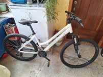 Bicicleta Dinamic Ds