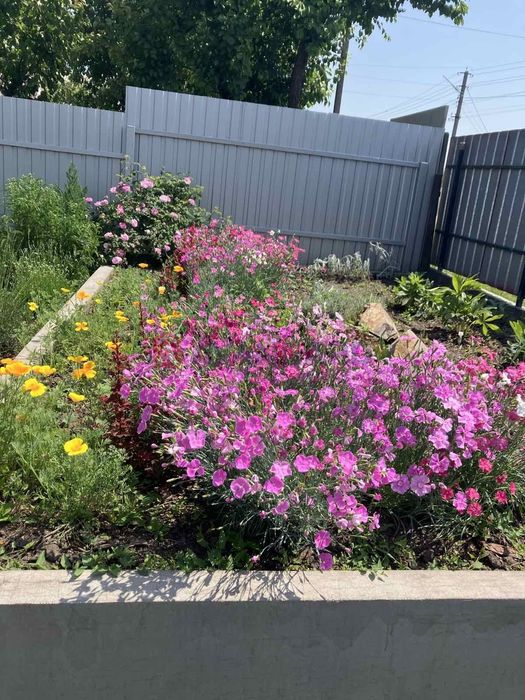 Будинок с.Вільна Тарасівка, Білоцерківського р-н,Без %