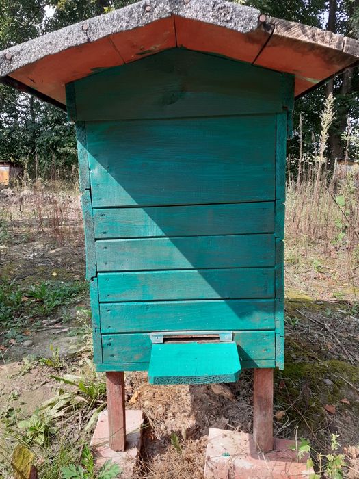 .Ul drewniany.      .