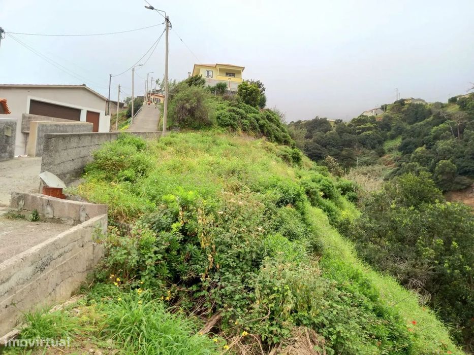 Terreno agrícola - Maiata - Machico