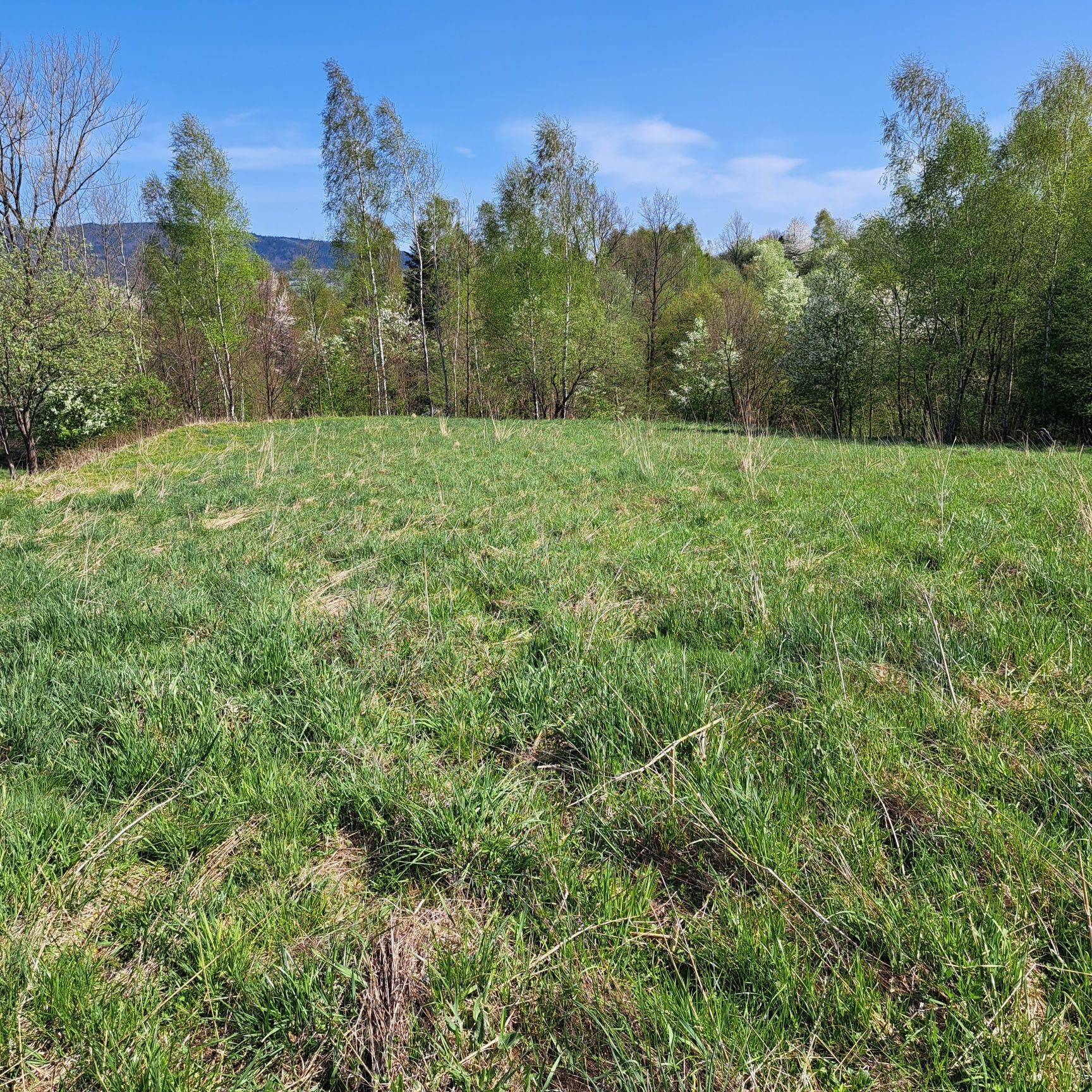 Działka rolna Beskid Żywiecki-Gilowice