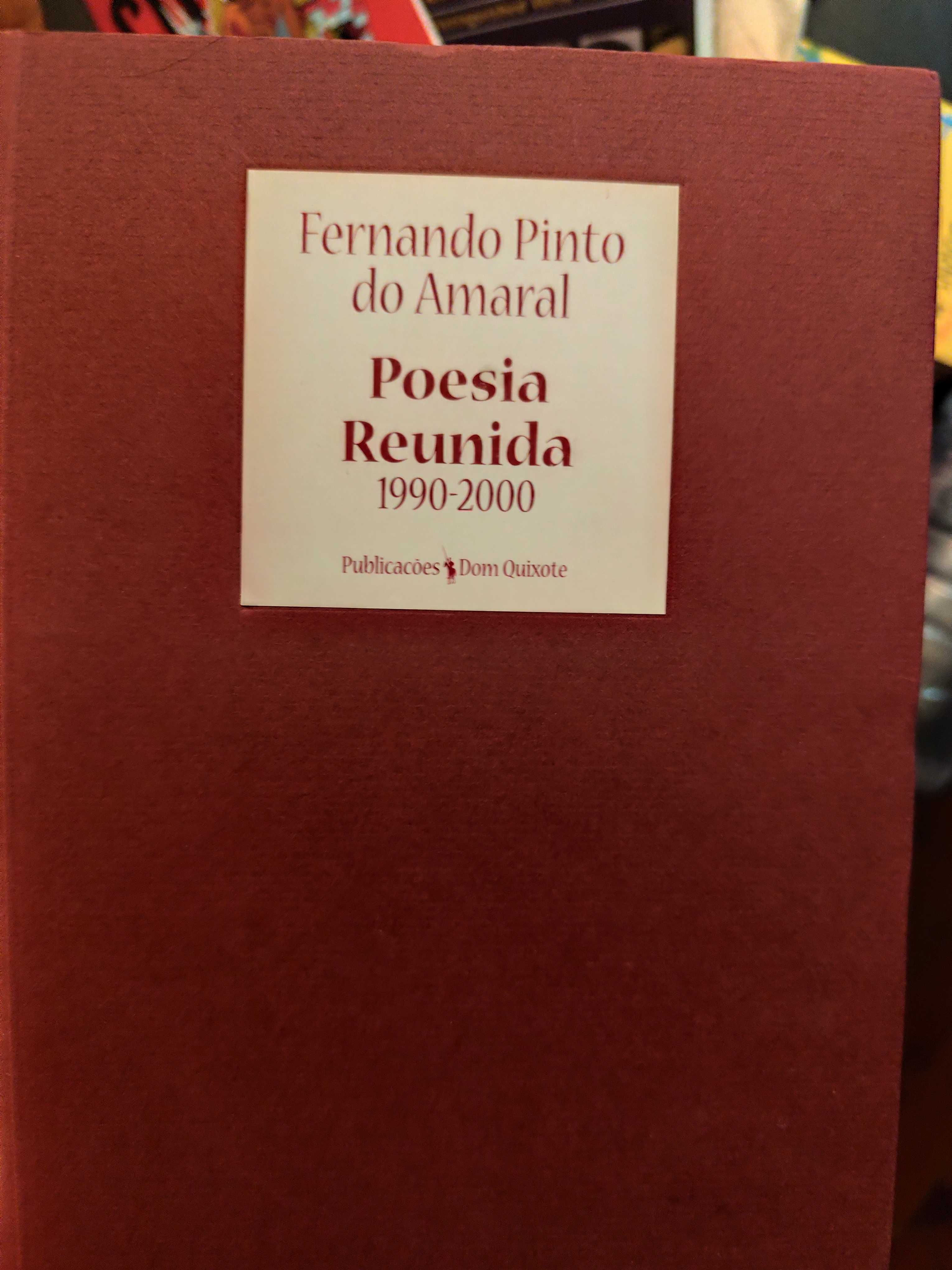 Fernando Pinto do Amaral - Poesia Reunida 1990 a 2000