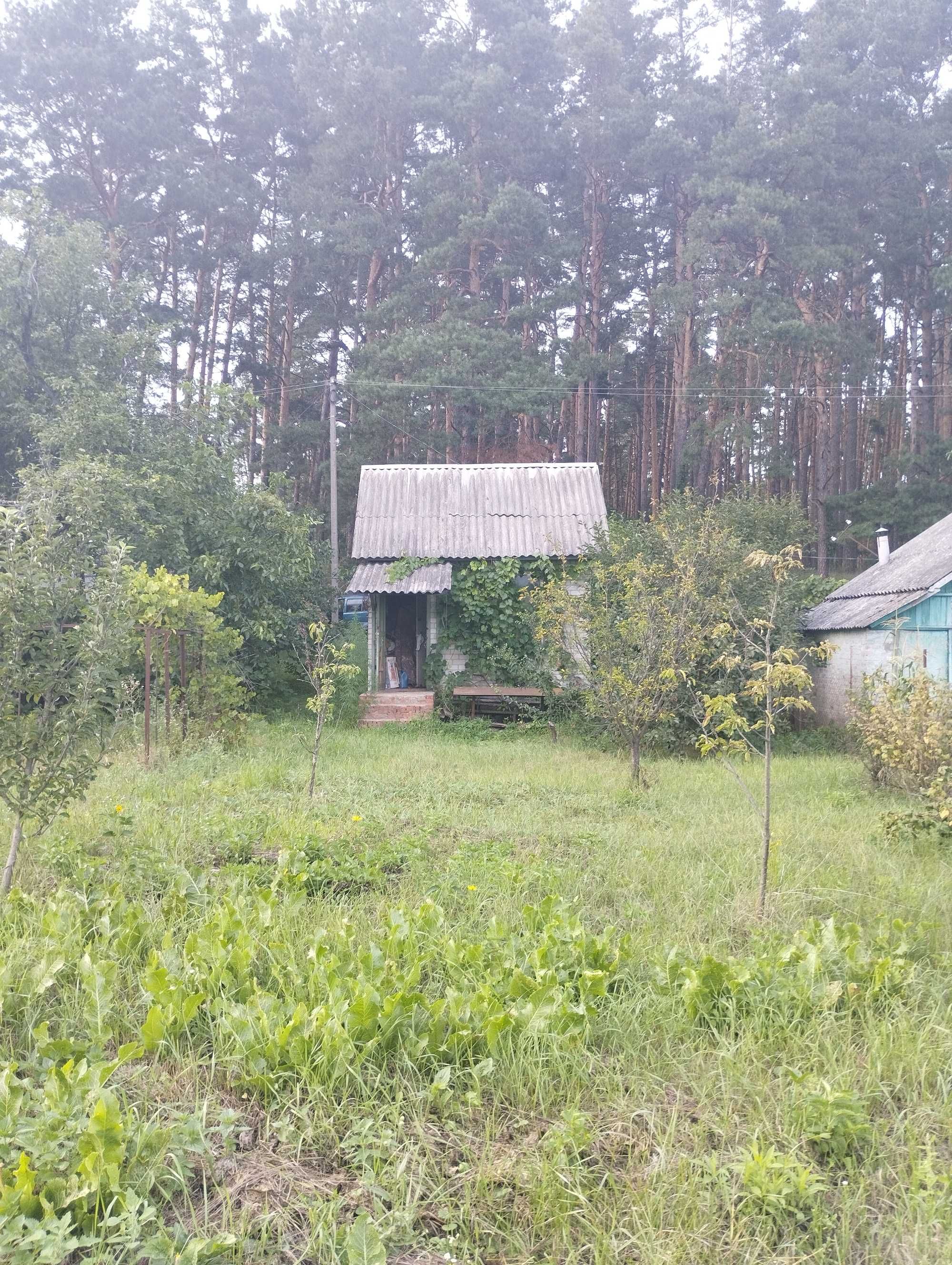 Продастся дача в районе Старой Подусовки. Общество Барвинок.